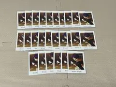 【あんスタ】仙石忍　ぱしゃっつ