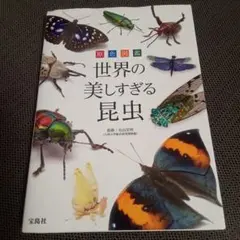 Item thumbnail for item cc9cff94-06af-46d9-93fd-71a15a1ee314