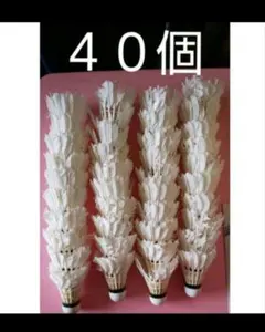 Item thumbnail for item f2c19677-0f91-4b6c-b53e-19bb53f15273