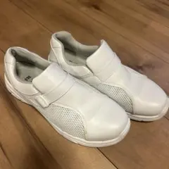 Item thumbnail for item caea8a1a-1735-44ee-97d9-3d6bfe44e0dc