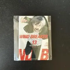 WIND BREAKER展 ウィンブレ展 ランダム缶マグネット 18巻 棪堂 桜