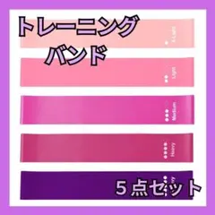 【新品未使用】トレーニングバンド5点セット検品済