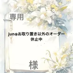 jun※お取り置き以外のオーダー休止中 様　専用