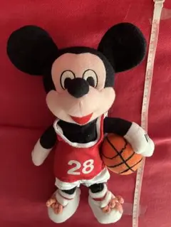 レア】東京ディズニーリゾート バスケットボール ミッキー Disney