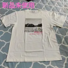 【新品未使用】BEAMSコラボ Tシャツ XL