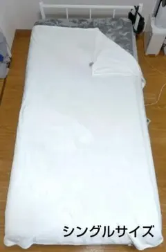 Item thumbnail for item 2f096804-da88-4772-a3a1-53736da160b7