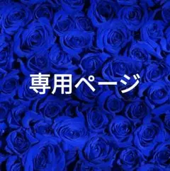 専用ページ‼️