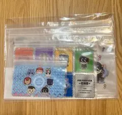 三代目JSB FOREVER 〜ONE〜ジッパーバッグ10枚セット