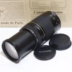 ◇超望遠&高速AF◇Canon純正 300mm 望遠レンズ!!◇ - メルカリ