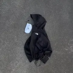 The north face GORE-TEX shell jacket テック