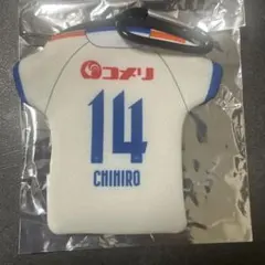 アルビレックス新潟 14 CHIHIRO ネオプレーンケース2nd(古長谷千博)