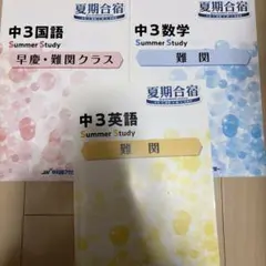 2025年最新】早稲アカ 夏期講習の人気アイテム - メルカリ