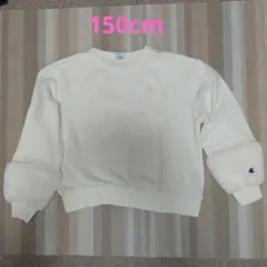 ラブトキ×チャンピオン 袖ファートレーナー