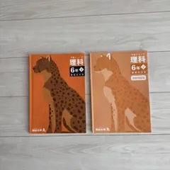 2025年最新】予習シリーズ6年の人気アイテム - メルカリ