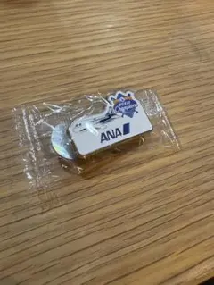 2026年最新】ana ピンバッチの人気アイテム - メルカリ