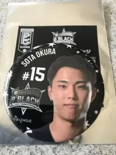 Item thumbnail for item cb90f643-4e22-43ed-93ca-9ca79548d31b