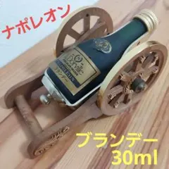 2025年最新】古酒 ブランデーナポレオンの人気アイテム - メルカリ
