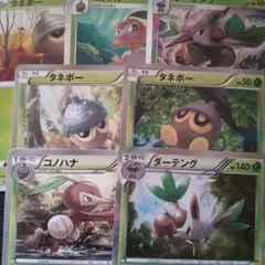 ダーテング　コノハナ　タネボー　7枚セット　XY　BW　ソードシールド