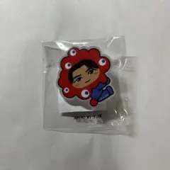 澤本夏輝　フラッグアクセサリー