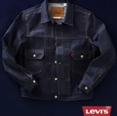 2026年最新】Type2 jkt selvedge rigidの人気アイテム - メルカリ