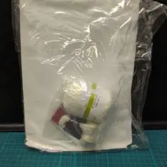 白い綿生地 50x50cm 2枚セット