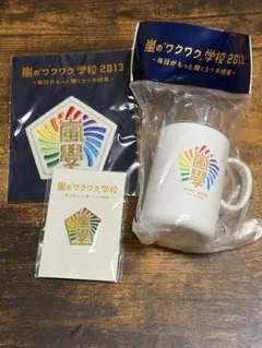 嵐 ARASHI 嵐のワクワク学校　歯ブラシ　ピンズ ワッペンブローチ