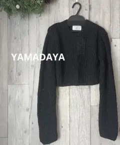 Item thumbnail for item 8597b1b8-934c-4391-b681-acf50368a933