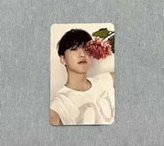 SEVENTEEN 17 IS RIGHT HERE DEAR ホシ