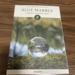 BLUE MARBLE English Communication II