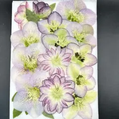 Item thumbnail for item a4df9f4e-1b1f-4a39-b46e-3510ba184837