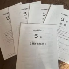 2026年最新】sapix 1年生 テストの人気アイテム - メルカリ