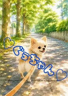 《一点限り》チワワ 木漏れ日の並木道で振り返る