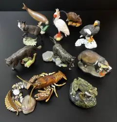 2025年最新】週刊 日本の天然記念の人気アイテム - メルカリ