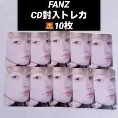 Stray KidsアイエンFANZ CD封入トレカ10枚