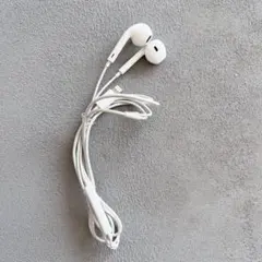 Apple純正　イヤホン　ライトニングケーブル