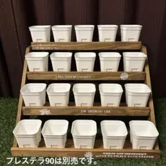 2026年最新】花台 高卓の人気アイテム - メルカリ