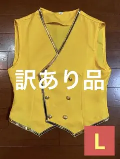 訳あり品 ツイステッドワンダーランド　サバナクロー寮 ベスト