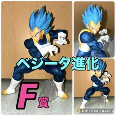 ドラゴンボール 一番くじ　超サイヤ人　ゴッド　スーパーサイヤ人　ベジータ F賞