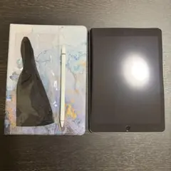 Apple iPad Pro 9.7インチ 256GB