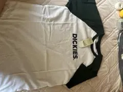 DICKIES ホワイト/グリーン Tシャツ S