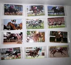 JRA 競馬 馬券 まとめ売り 61枚 96,97,98,99年代 当時物 単勝 JRA 競馬 馬券 まとめ売り 45枚 90年代 当時物 単勝 コレクション
