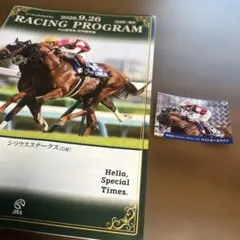 JRA ウインカーネリアン　レーシングプログラム＆ホログラムカー