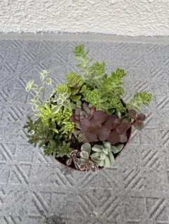 ゆきみな様 リクエスト 3点 まとめ商品