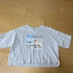 Item thumbnail for item f32728b0-2254-4619-95f5-6837dc472588