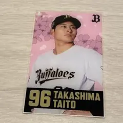 Item thumbnail for item 825042a8-3dd1-41e4-9976-518b33bee1da