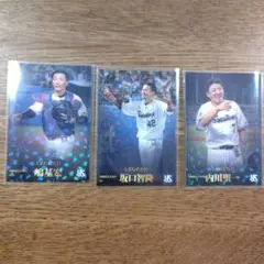 プロ野球チップス Legend カード ヤクルトスワローズ セット