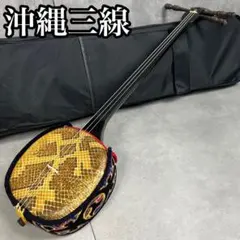2026年最新】三線ケースの人気アイテム - メルカリ
