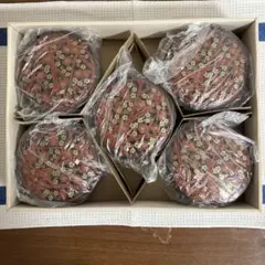 Item thumbnail for item ca07dc08-ef88-456a-853b-4c3a442a361d