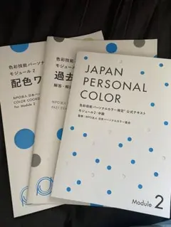 2025年最新】パーソナルカラー検定 モジュール3の人気アイテム