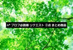 n* プロフ必読様 リクエスト ③点 まとめ商品